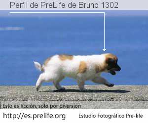 Perfil de PreLife de Bruno 1302