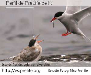 Perfil de PreLife de ht