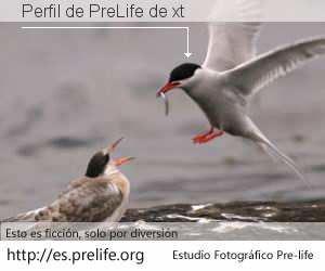 Perfil de PreLife de xt