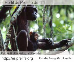 Perfil de PreLife de 李志