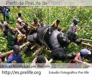 Perfil de PreLife de 福克斯