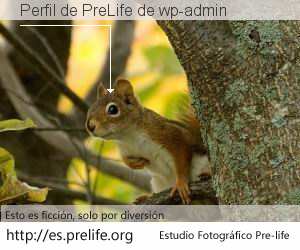 Perfil de PreLife de wp-admin