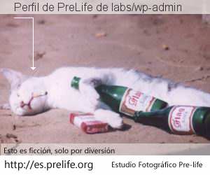 Perfil de PreLife de labs/wp-admin