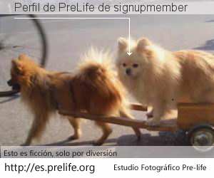 Perfil de PreLife de signupmember