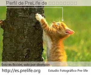 Perfil de PreLife de 我送聖誕禮物來了 