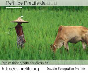 Perfil de PreLife de 陈志德
