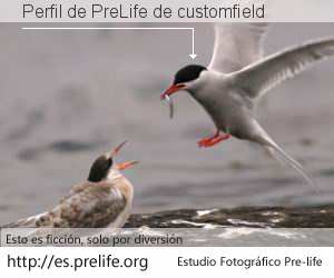 Perfil de PreLife de customfield