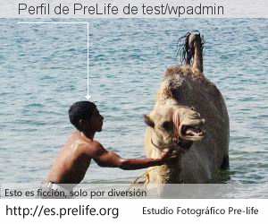 Perfil de PreLife de test/wpadmin