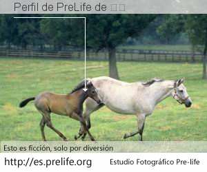 Perfil de PreLife de 吴勇