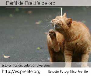 Perfil de PreLife de oro