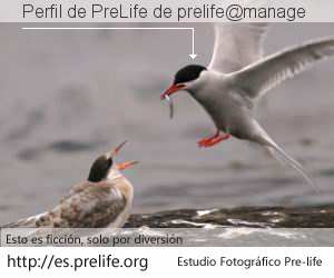 Perfil de PreLife de prelife@manage