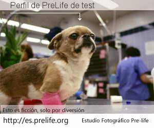 Perfil de PreLife de test