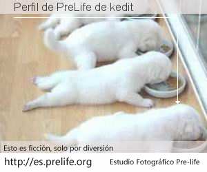 Perfil de PreLife de kedit