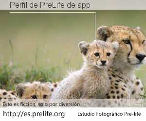 Perfil de PreLife de app