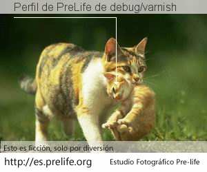 Perfil de PreLife de debug/varnish