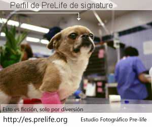 Perfil de PreLife de signature