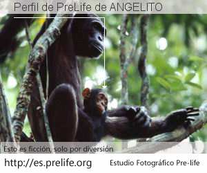 Perfil de PreLife de ANGELITO