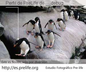 Perfil de PreLife de __debug__