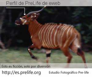 Perfil de PreLife de eweb
