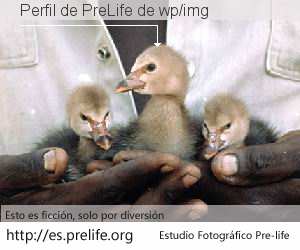 Perfil de PreLife de wp/img