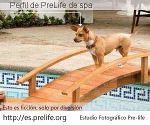 Perfil de PreLife de spa
