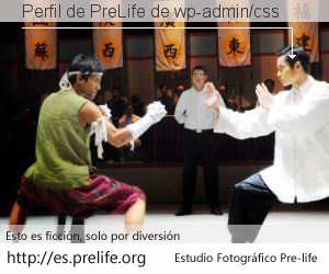 Perfil de PreLife de wp-admin/css