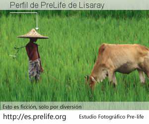 Perfil de PreLife de Lisaray