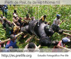 Perfil de PreLife de wp1/home-18