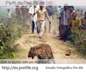 Perfil de PreLife de 俞雯玮