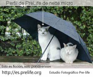 Perfil de PreLife de nette.micro