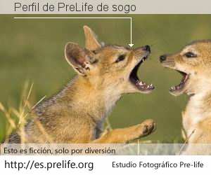 Perfil de PreLife de sogo