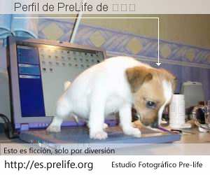 Perfil de PreLife de 杨槟矫