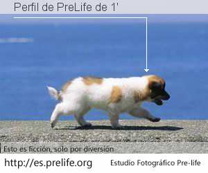 Perfil de PreLife de 1'