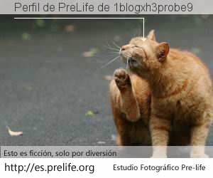 Perfil de PreLife de 1blogxh3probe9