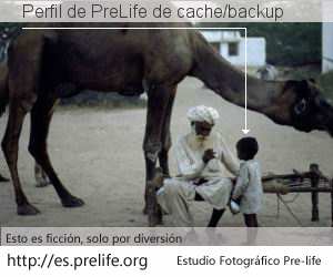 Perfil de PreLife de cache/backup