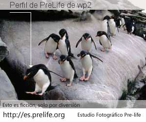 Perfil de PreLife de wp2