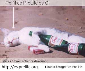Perfil de PreLife de Qi