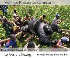 Perfil de PreLife de cb_install