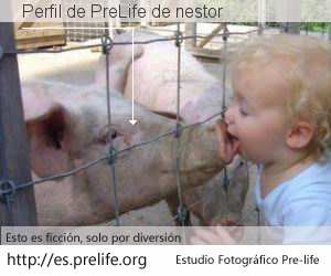 Perfil de PreLife de nestor
